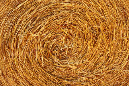 Background close up of straw bale under sunlightの写真素材