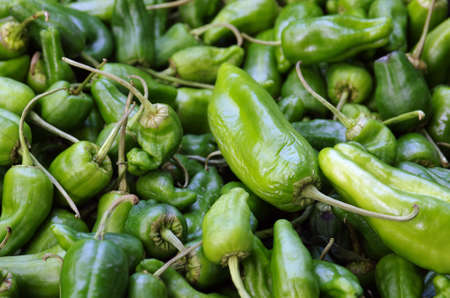 Many green Padron Peppers for sale in a market of biologic products