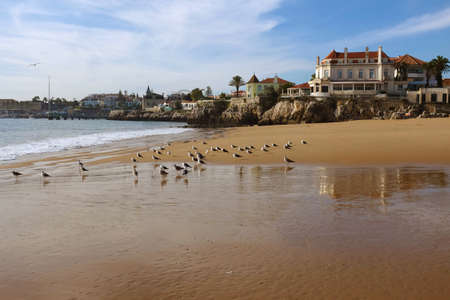 Seaguls in the beach of the beautiful village of Cascais in Portugalの写真素材