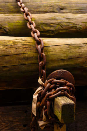 Pile of wooden trunks secured with an old rusty link chain