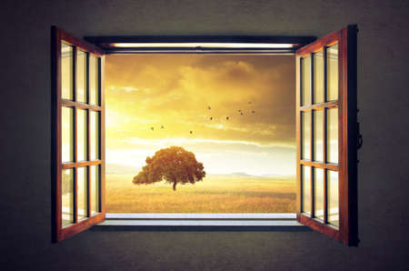 Looking out an open window to a sunny spring countryside landscapeの写真素材