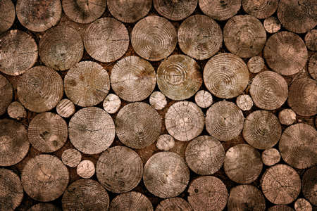 Pattern od several chopped wooden trunks in a pavementの写真素材