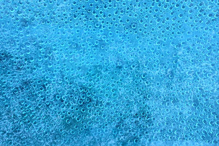 Background image with water bubbles in a blue surfaceの写真素材
