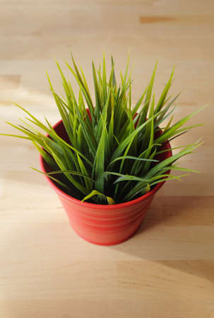 Young green grass blades on a red vase in the center of a wooden tableの写真素材