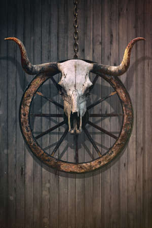 Long horned bull skull and old west wagon wheel hanged on a wooden wallの写真素材