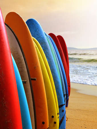 Many colorful surfboards standing together in a beach under warm sunlightの写真素材