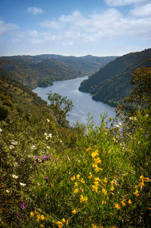 Landscape of Belver village and the Tagus river in Portugalの写真素材