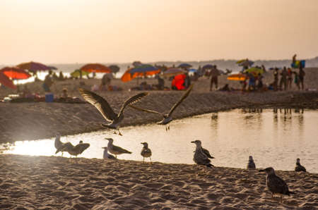 Sun is setting in a beach on Algarve- Portugalの写真素材