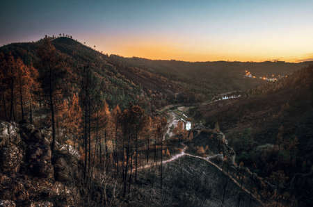 Burnt landscape of Portuguese forests after the wild fires in the summer of 2017