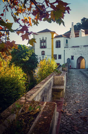 View from the back side of Sintra Nacional Palace with trees in the yardのeditorial素材