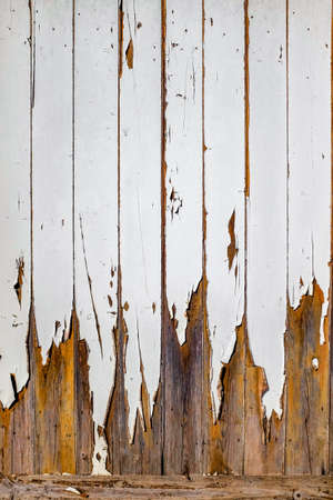 Detail of an old wooden door with peeling white paintの写真素材