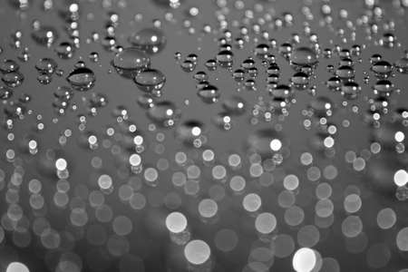 Drops of Water on a Gray Backgroundの写真素材