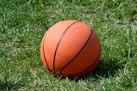 Basketball isolated on green grassの写真素材
