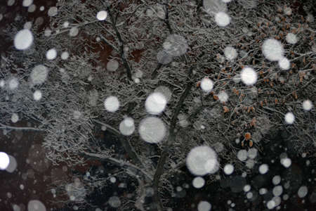 Snow fallingの写真素材