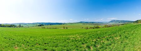 Fresh green panorama during the springの写真素材