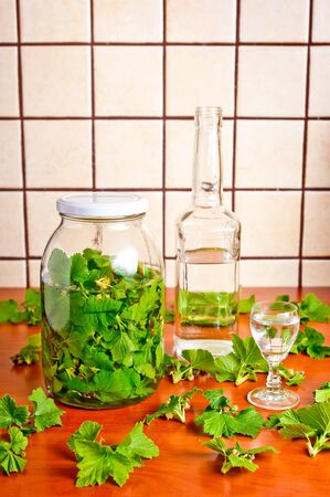 Liqueur of black currant leaves の写真素材