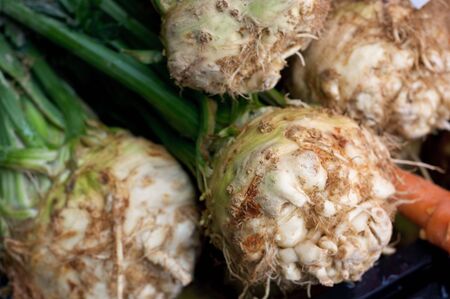 Fresh celeriac on the marketの写真素材