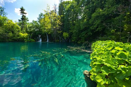 Beautiful lake in forest, Plitvice, Croatiaの写真素材
