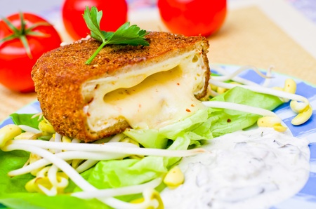 Traditional czech fried cheese with tatar sauceの写真素材
