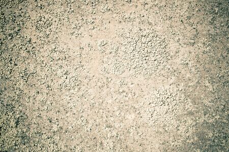 Pastel rough wall surface for backgroundの写真素材