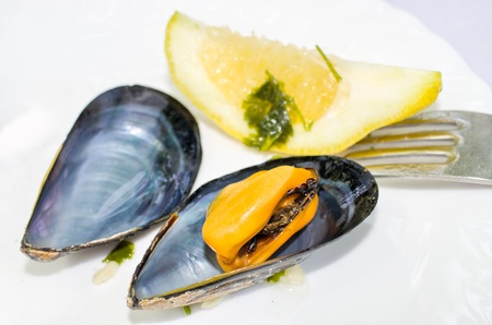 Fresh mussels with lemon and parsleyの写真素材