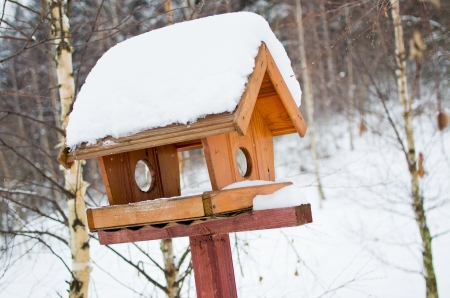 Bird feeder in the park during the cold winterの写真素材