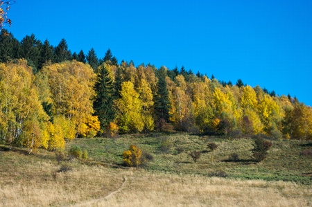 Autumn landscape in the hillsの写真素材
