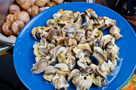 Bourgogne snails with garlic butterの写真素材