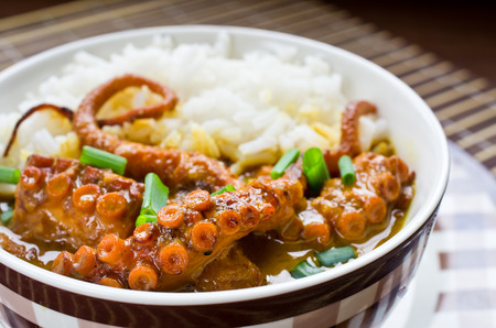 Oriental octopus curry with rice and chivesの写真素材