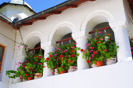 Flowers in the old windowsの写真素材