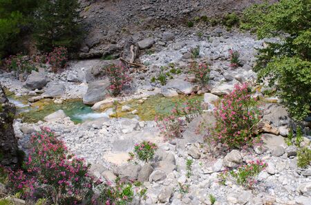 Creek in Samaria Gorge on Crete, Greece
