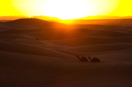 Warm sunset on Sahara desertの写真素材