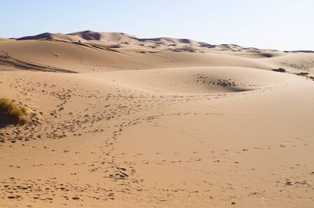 Part of Sahara desert in Moroccoの写真素材