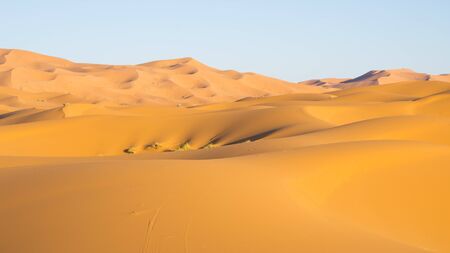 Part of Sahara desert in Moroccoの写真素材