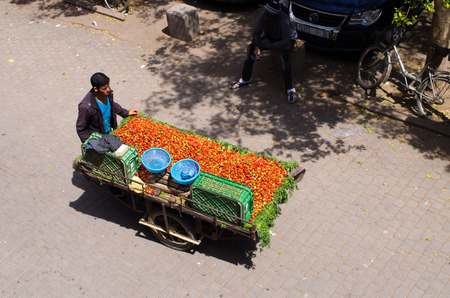 Marrakech, Morocco - March 22, 2016: fresh spring strawberries. Boy is selling fresh strawberries directly from the cart.のeditorial素材