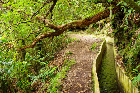Levada do Norte, Madeira island, Portugal