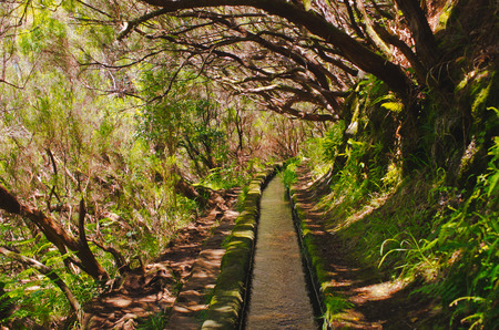 25 Fontes levada on Madeira island - Portugalの写真素材