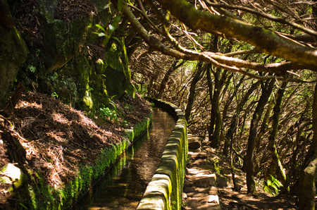 25 Fontes levada on Madeira island - Portugalの写真素材