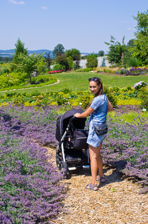 Wojslawice, Poland - June 29, 2018: Aboretum. Garden founded around 1811 when the owners of the Wojslawice village - von Prittwitz and von Aulock families.のeditorial素材