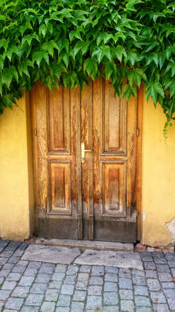 Old wooden doors covered by green leavesの写真素材