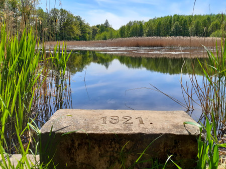 Enjoy the peaceful reflection on the water in this scenic nature scene. Find serenity and inspiration in the tranquil setting. Perfect for travel and tourism.の写真素材