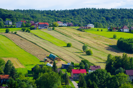 Scenic hilltop village with pastures and lush forestの写真素材