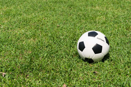 The futsal ball on the grassの写真素材