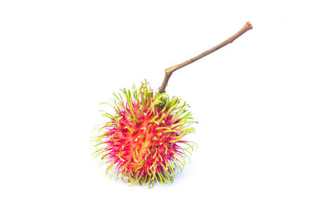 rambutan on white backgroundの写真素材