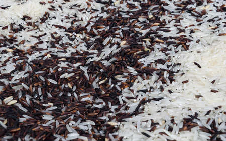 Khao Hom Nil or Black Fragrant Rice mix with Fragrant Riceの写真素材