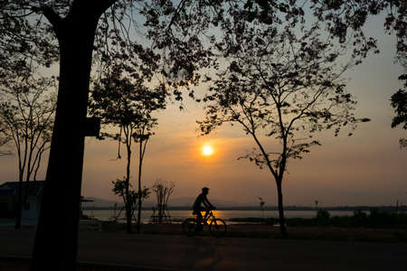 alone cyclist on roadの写真素材