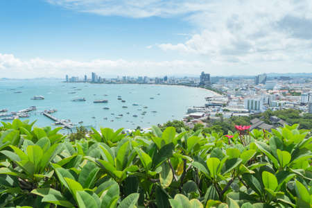 See Pattaya city in Thailand on the hillの写真素材