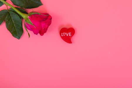 One pink roses with  small heart on pink color for backgroundの写真素材