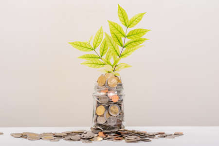 Many Money coin in jar or glass bottle, tree leaf inside in stack conin. Business Finance and Money...