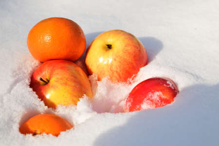Apples and tangerines on the snow.の写真素材
